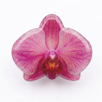 Orchid Popsocket